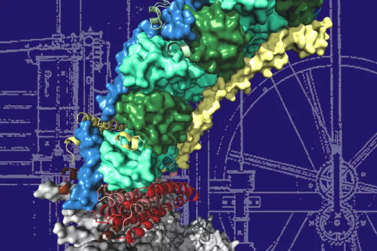 Mol_machines_cover